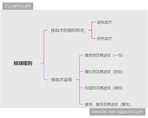 广州排球队防反体系解析：排球战术的创新与实践探索